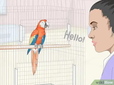 Image titled Teach Parrots to Talk Step 3