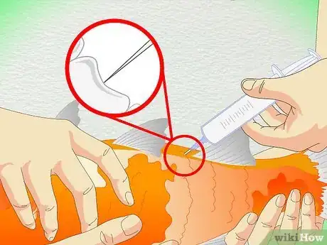 Image titled Draw Blood from an Adult Fish Step 10