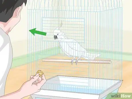 Image titled Teach Parrots to Talk Step 9