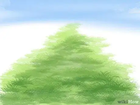 Image titled Plant a Lawn from Stolons Step 13