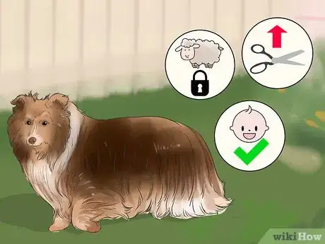 Image titled Choose an Active Dog Step 10