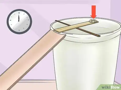 Image titled Catch a Chipmunk Step 10