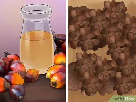 Image titled Help Save Elephants Step 10