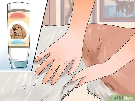 Image titled Groom a Longhair Dog Step 9