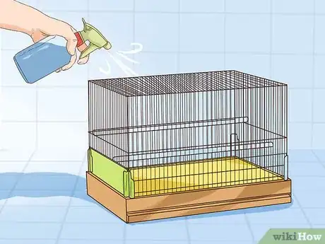 Image titled Treat Mites in Chinchillas Step 2