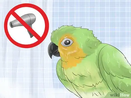 Image titled Keep a Conure Groomed Step 4