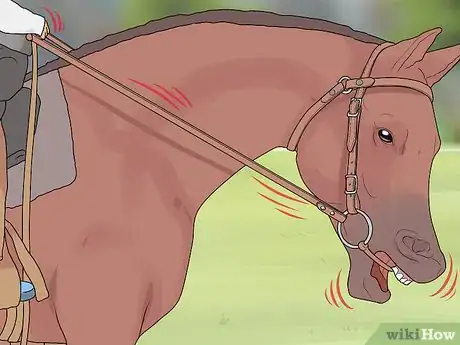 Image titled Succeed at Your First Horse Show Step 4