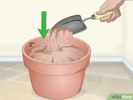 Image titled Make a Grass Pot for Cats Step 1