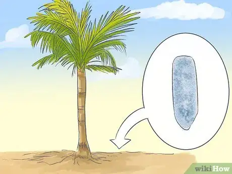 Image titled Grow a Queen Palm Step 18