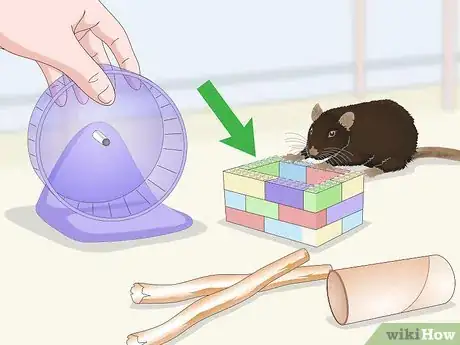 Image titled Safely Let a Mouse Out of Its Cage Step 13