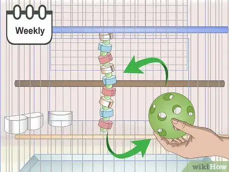 Image titled Own a Parakeet Step 7