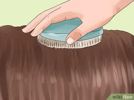 Image titled Groom a Silky Terrier Step 3