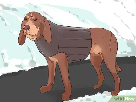 Image titled Help Your Dog Move in the Snow Step 9