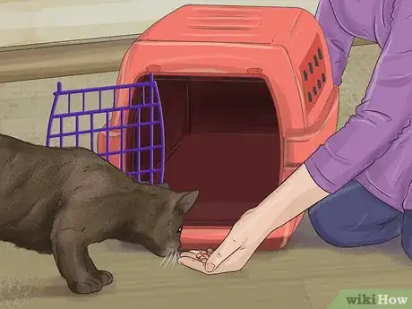 Image titled Capture an Angry or Upset Cat Step 18