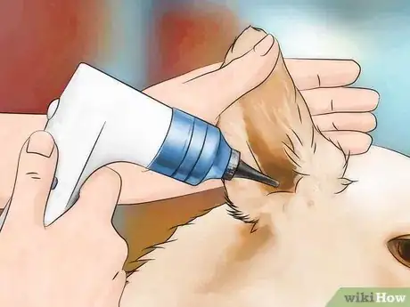 Image titled Prevent Canine Ear Mites Step 9