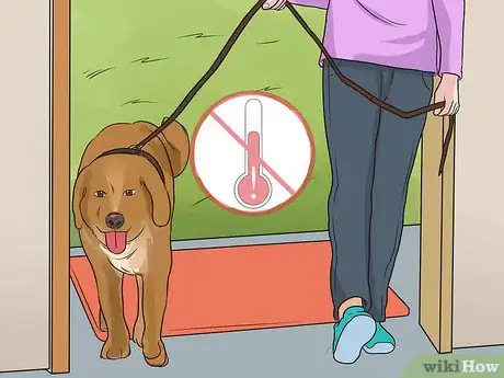 Image titled Prevent an Older Dog from Overheating Step 4