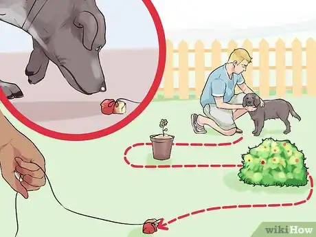 Image titled Do Short Training Sessions with Your Hunting Dog Step 8