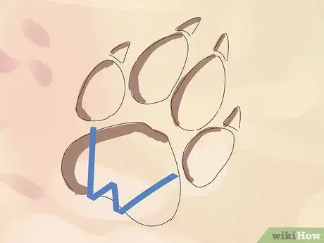 Image titled Identify Animal Tracks Step 5