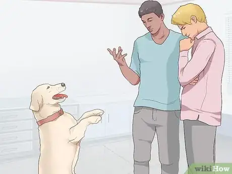 Image titled Encourage Senior Dog Adoption Step 1