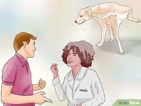 Image titled Show Your Dog Where He Is in the Pack Step 12