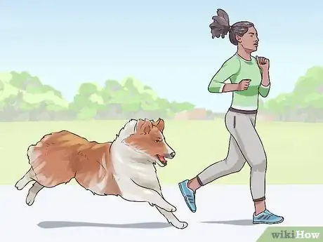 Image titled Choose a Dog for Older Kids Step 2