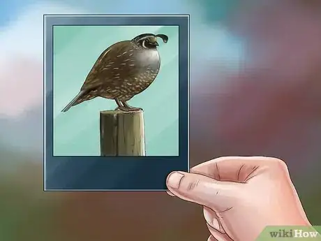 Image titled Sell Quail Step 12