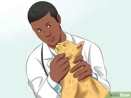 Image titled Diagnose High Thyroid Levels in a Cat Step 8