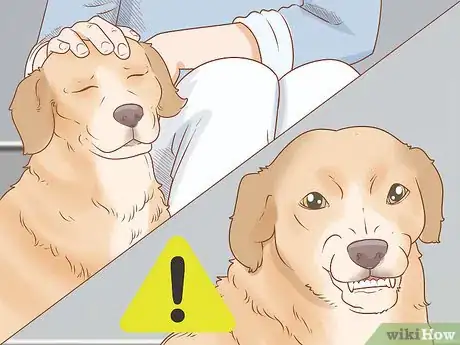 Image titled Train a Therapy Dog Step 10