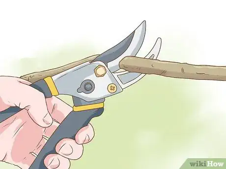 Image titled Harvest Kudzu Step 10