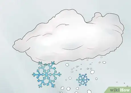 Image titled Germinate Beans on Moist Kitchen Paper Step 15