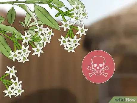 Image titled Design an Exotic Garden Step 19