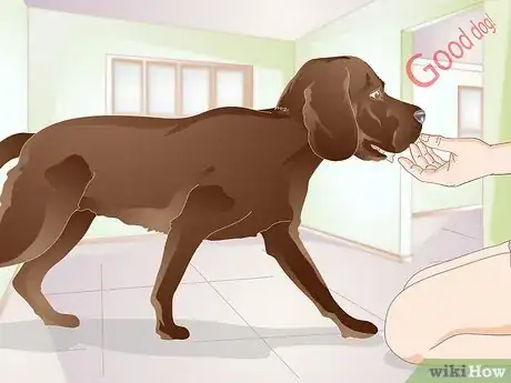 Image titled Train a Dog to Stand Up Step 7