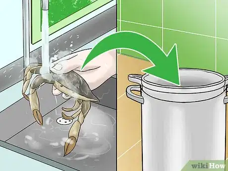 Image titled Cook Jonah Crab Claws Step 4
