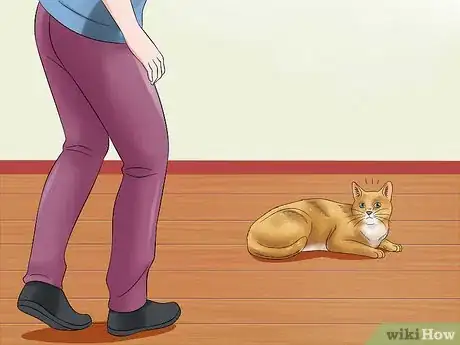 Image titled Amuse Cats Step 13