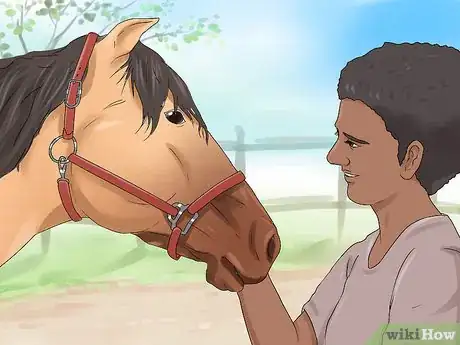 Image titled Bridle a Grumpy Horse Step 8