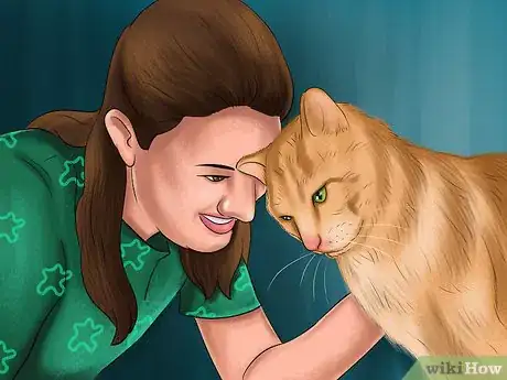 Image titled Deal with Cognitive Disorders in Cats Step 2
