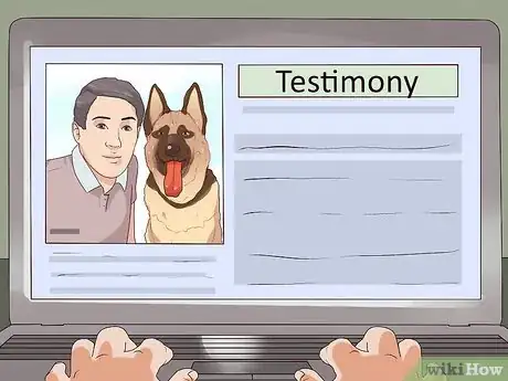 Image titled Encourage Senior Dog Adoption Step 4