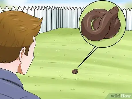 Image titled Solve Digestive Problems With Small Dogs Step 2