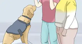 Get a PTSD Service Dog