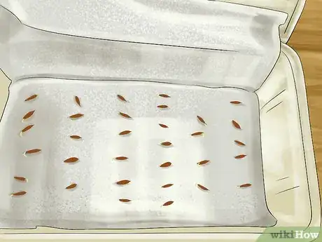 Image titled Germinate Seeds with Humidity Step 6