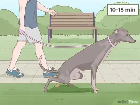 Image titled Train a Greyhound Step 7