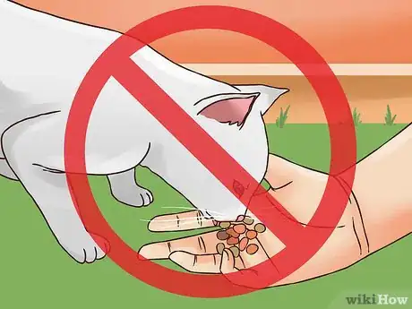 Image titled Help an Indoor Cat Being Tormented by an Outdoor Cat Step 10