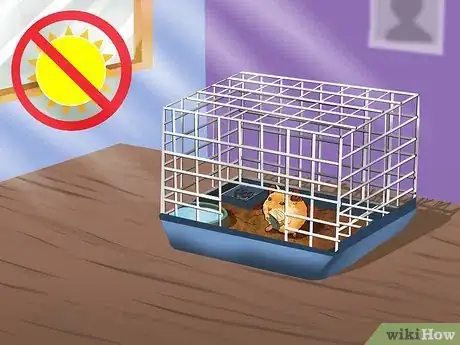 Image titled Be a Good Hamster Owner (for Kids) Step 7