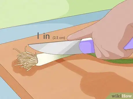 Image titled Grow Leeks from Leeks Step 1