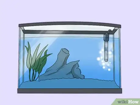 Image titled Ensure Your Pet Fish Are Healthy Step 5