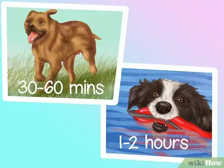 Image titled Give Your Large Dog Enough Exercise Step 2