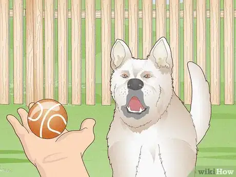 Image titled Have Healthy Relationships with Animals Step 9