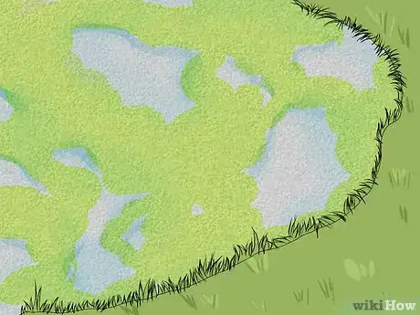 Image titled Grow Duckweed Step 13