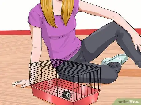 Image titled Tame an Older Hamster Step 6