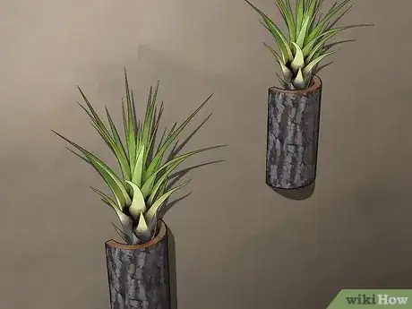 Image titled Choose Low‐Maintenance Houseplants Step 20